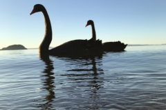 C094B6C5-2268-42B7-B947-8805C991442C