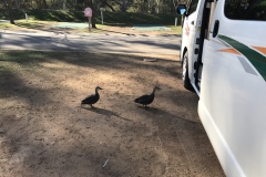 C0C31EC4-77D1-4B0A-89C2-5B7440EE3100