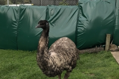 C3C6C527-BC2B-4F15-ABD8-8E2B0957EFDC