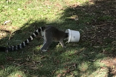 C3E4719E-ADEE-40E3-8BC6-33DD304E454B