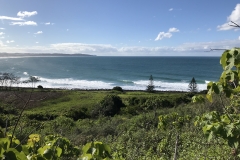 C41FBC8F-88A0-4778-A111-2969F209DE7D