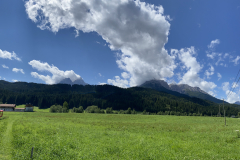 C44F45D3-21C3-4452-9497-AA71B7FBD5F2