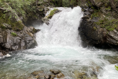 C5887F54-932D-4D8E-BC38-1255E3DEAA5B