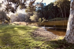 C658AB2B-DE93-4E5A-A582-BF757C4A90E7