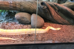 CA4A2DAA-BF0C-4628-9164-DDFB45DC6AA1