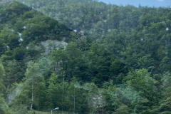 CABB0193-9E30-4098-AD36-102220751C9E