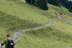 CBDEA328-4D9A-471F-9E2C-3A6E7664BC3D