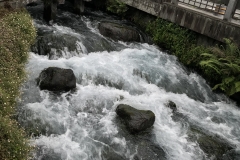 CC12295D-8C0A-44DA-A169-8C93ECF75293