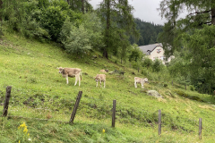 CD6A82BB-EA34-4F27-A570-7ACDE39C34E5