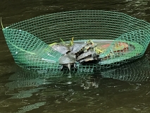 CFAD8DB6-8458-4F8D-B2E3-16F761BDBDCA