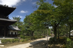 D3EE29A0-B241-47BA-B998-6EA909134EC7