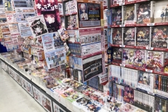 D530FF38-1F95-4288-A6A9-8A84C6E6E337