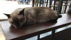 D887333D-D6CE-495D-B35D-CEF934074A83