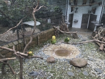 D971C304-D30B-4EFC-8714-EEA1D96B98CC