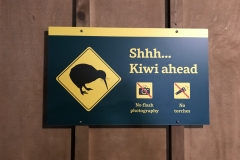 DC60133E-6B2C-4FFA-8F63-A690166FD483