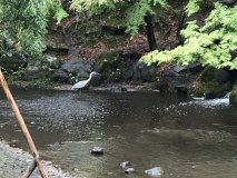 DD1AFA9A-8873-4B33-B46B-721CF01C43B1