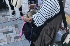 DE2D7117-8C5C-4E15-AFCC-49C60AC0E81C