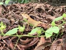 E26B51CC-86E7-4E43-AA1D-5437259C5B46