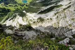 E3C3A12E-0ECF-4E0E-AC35-4661DDECA6C7