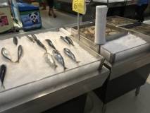 E400151D-F898-4C1F-9867-D4A09194343D