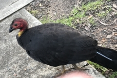 E4241BA3-2410-4A0D-9F11-F0691AB66222