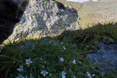 E86464E6-928F-48B4-B8A1-11AA05E95ED0