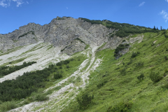 E91B6F22-D82B-42C5-9C40-8A12D81F3D57