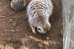 E9CFE6F2-A0DA-4927-B2D5-AC38CBF6675F