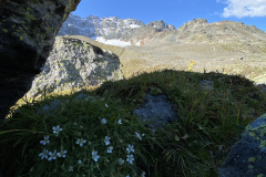 EAF26CDF-9D97-401F-A695-B0F37578AE29