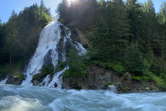 EE8F9411-4B3E-45FE-9E17-AA9B31A08816