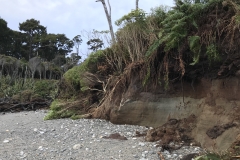 EFED75A0-6698-47E4-AAFD-8530F8911323