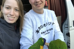 F0706EBF-5C0B-44AD-BF11-CF1E3D32FADD