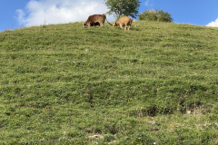 F0D1491C-115F-407F-91ED-B03182C6ACF1