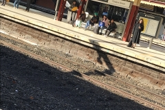 F325D04E-4F6E-4E30-AFC3-BA76DD94F2C2