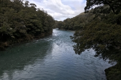 F52B88C2-E34F-4E46-8BC3-F9C685440C62