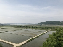 F617493F-813B-44F5-878D-1BB12CC0E0D6