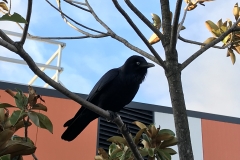 F718DA72-1D71-4DC5-90E3-8FD12F6A243D