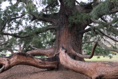 F7C39BE5-0E21-4B16-9619-6D30EE568385