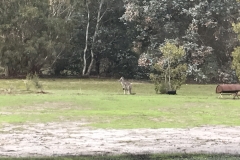 F9145C9B-166C-40AE-903C-141EDFF1741A