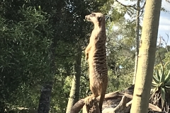 FA1059A7-4B35-410B-8AF3-A1DBCCC63DAA