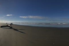 FDA9DB78-CF64-4C27-AB63-9782B7C1FD66