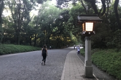 FE083D26-602B-4E88-89C5-02621675A275