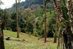 Weg zum Tartain Waterfall