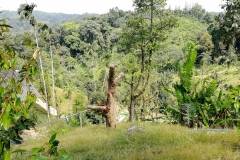 Weg zum Tartain Waterfall