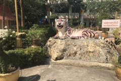 Tiger Tempel