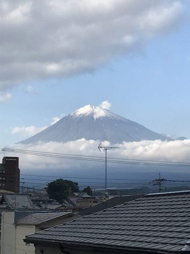 147233e9-e308-4d69-be94-c9d62246dfb3