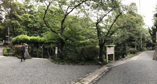 2397c21c-06cd-4f7a-bc4e-e965d4cee9c4