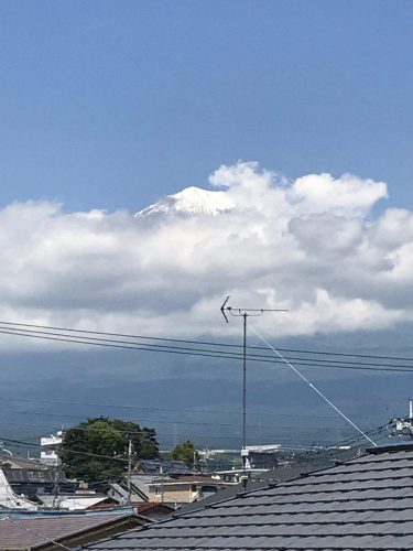 3155ecb4-a490-45ca-b55d-743cd716e8d0