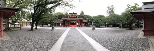 328a73d9-f6ef-496c-940b-08393a1000f6