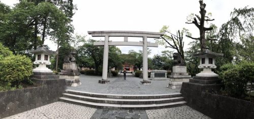 4902ca30-6973-4c33-8be5-eca1767d6038